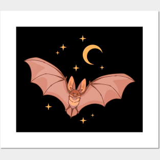 Long-eared bat Posters and Art